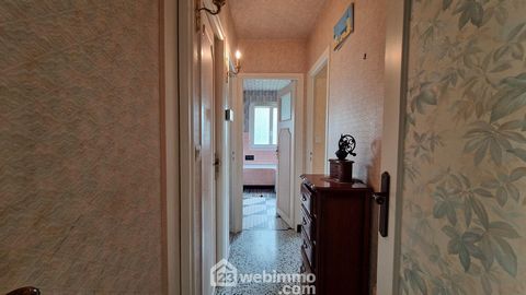 photo no. 10