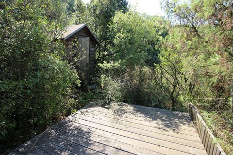 photo no. 9