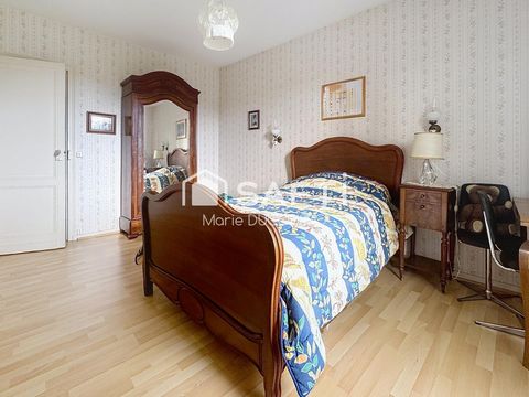 photo no. 6