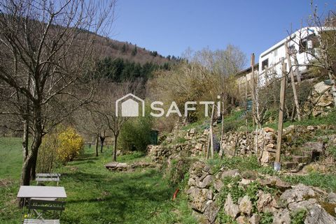 photo no. 7