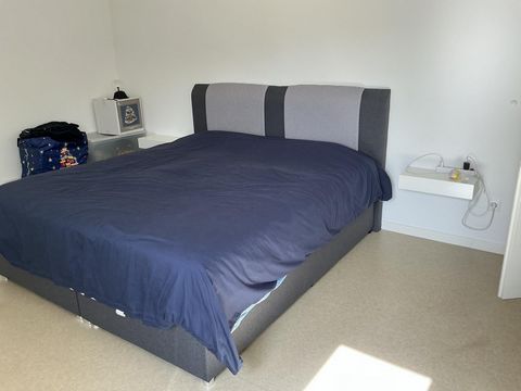 photo no. 9