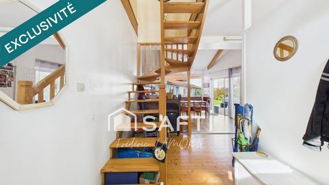 photo no. 13