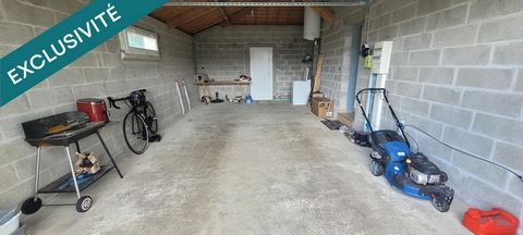 photo no. 8