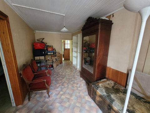 photo no. 6