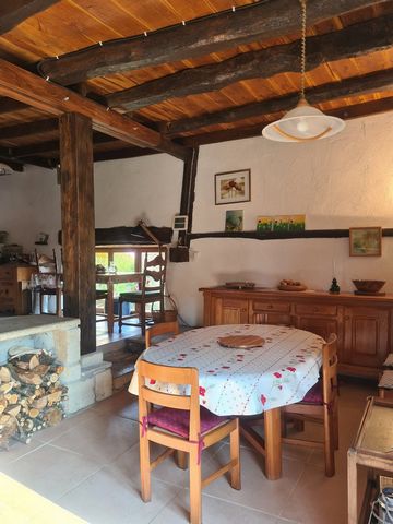 photo no. 23