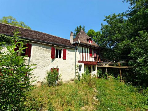 photo no. 12