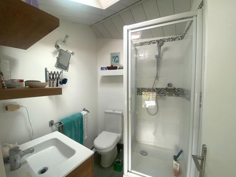 photo no. 11