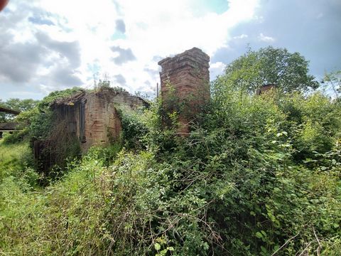 photo no. 5