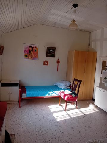photo no. 2