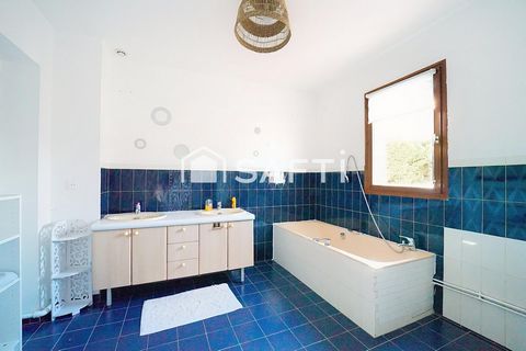 photo no. 11