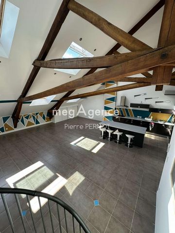 Grand appartement duplex 4 chambres