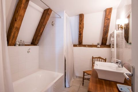 photo no. 16