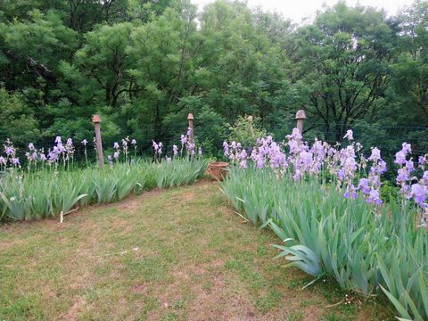 photo no. 21