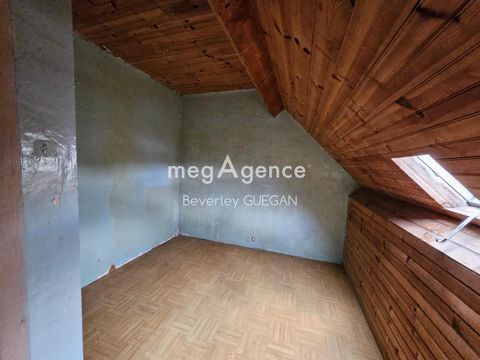 photo no. 11