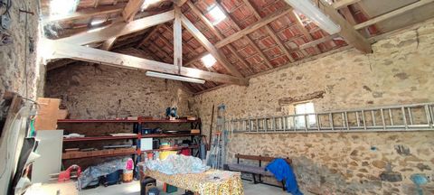 photo no. 18