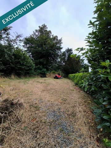 photo no. 14