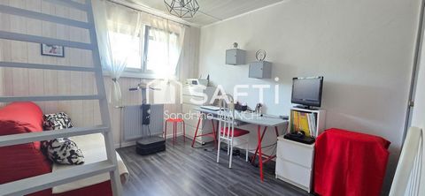 photo no. 15