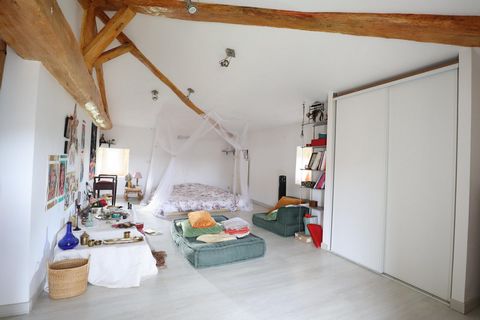 photo no. 10
