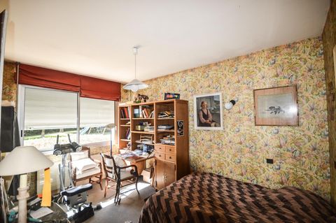photo no. 18