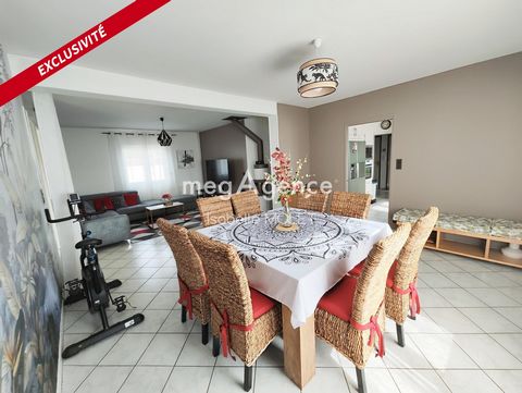 photo no. 8