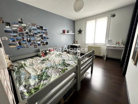 photo no. 8