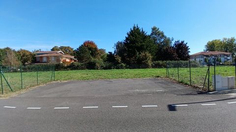 photo no. 8