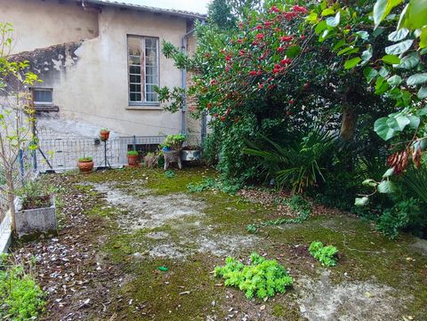 photo no. 16
