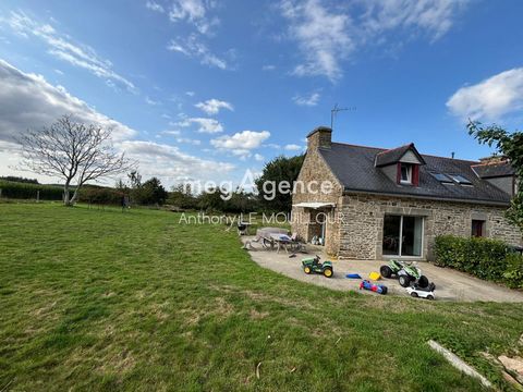 photo no. 2
