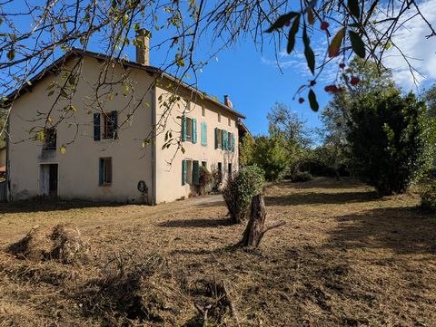 photo no. 16