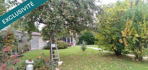 photo no. 14