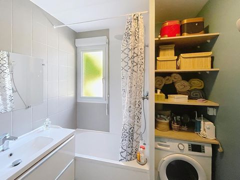 photo no. 11