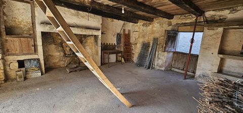 photo no. 9
