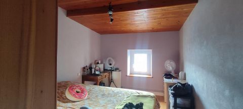photo no. 3