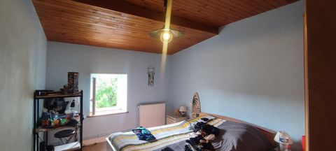 photo no. 4