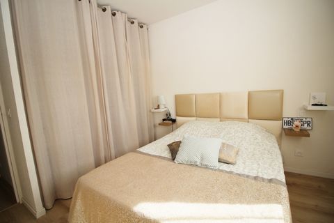 photo no. 12