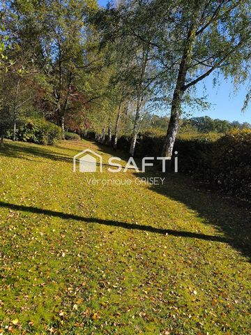 photo no. 6
