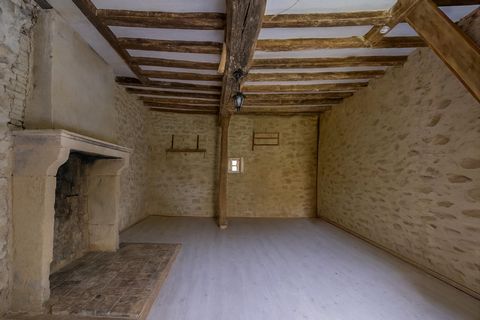 photo no. 8