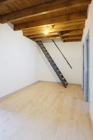 photo no. 11