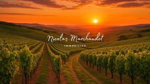 Domaine viticole historique dans le Beaujolais