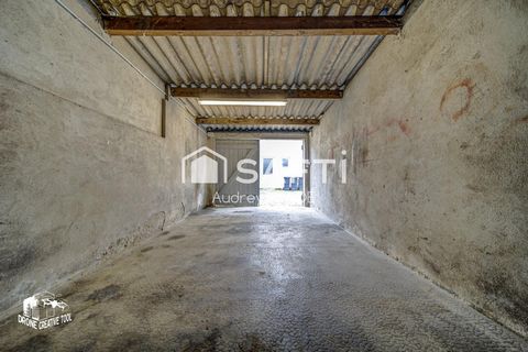 photo no. 13
