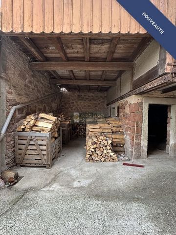 photo no. 11