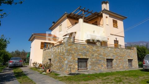 Property Code: 23402-8920 - House FOR SALE in Artemida Kato Lechonia for €529.000 . This 320 sq. m. House consists of 3 levels and features 6 Bedrooms, 2 Livingrooms, 2 Kitchens, 2 bathrooms and a WC. The property also boasts Heating system: individu...