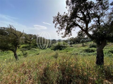 Land, 33,875 sqm, with submitted previous information request (PIP) under final appraisal stage for construction of a residential gated community with up to 1640 sqm (gross construction area) or villa, in São Francisco da Serra, Melides region. The s...