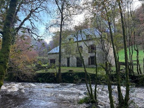 The old ROCHE CANILLAC mill is a real gem located in a place that invites you to daydream to the sound of the river. This traditional stone mill is made up of a very beautiful kitchen fitted and equipped with a stove and an island with underfloor hea...