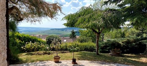 Proche Epernay et Reims, dans un joli village sur la route du Champagne. Cette maison bénéficie d'un agréable jardin avec une vue dégagée sur le vignoble. Vous disposez d'un espace de vie d'environ 40 m2 avec cheminée ouvert sur la terrasse et la ver...