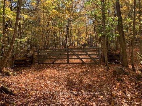 Once in a Life Time Opportunity! Approx. 115 Acres with approximately 2000 ft of Frontage on Beech Lake with a Simple, Good Old Fashioned Cottage and Hunt Camp Hut on Property. Property Has Been in the Family for Over 100 + Years and Buildings are be...