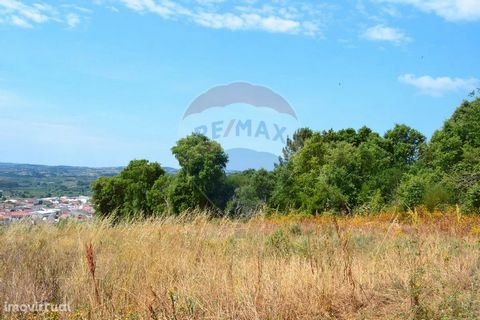 Land with an area of 9,520.00m2 for agriculture. About half of the land is on a slight slope, with several fruit trees, the other half on a steeper slope with bush and medium/large trees. Located in the center of Delgada, close to the accesses to the...