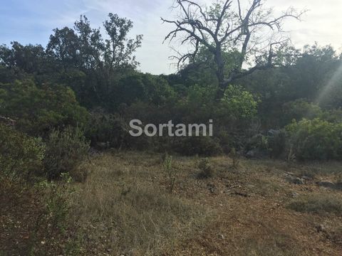 Rustic land, near Loulé. Slightly sloping, this land with a considerable total area of 2860sqm, has a very fertile soil where there is already a culture of olive and carob trees. Ideal for agriculture located in an area close to Querença, this proper...