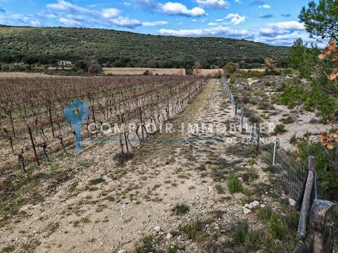 Exclusivity! Saint Martin de Londres close to agricultural property of about 60 hectares, vineyards, land and moorland. RARE TO GRASP! 30 minutes north of Montpellier, Pic Saint Loup sector. COMPTOIR IMMOBILIER DE FRANCE - Joël TEISSIER - (Coordinate...