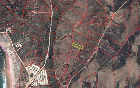 Zwei rustikale Grundstücke in der Nähe des Dorfes Carrapateira in der Gemeinde Bordeira. Das Grundstück von 1750m2 befindet sich in der Nähe des Strandes des berühmten Amado-Strandes mit Blick auf das Meer. Das 7500m2 große Grundstück ist ca. 2km vom...